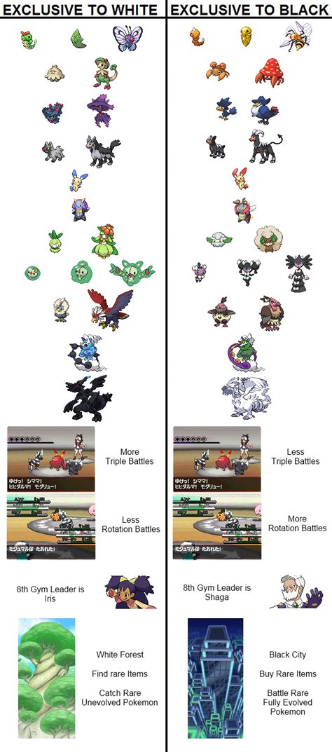 Pokémon Black vs Pokémon White Similarities, Differences, and .